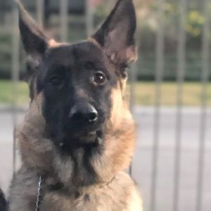 Meet your Posher, Christine